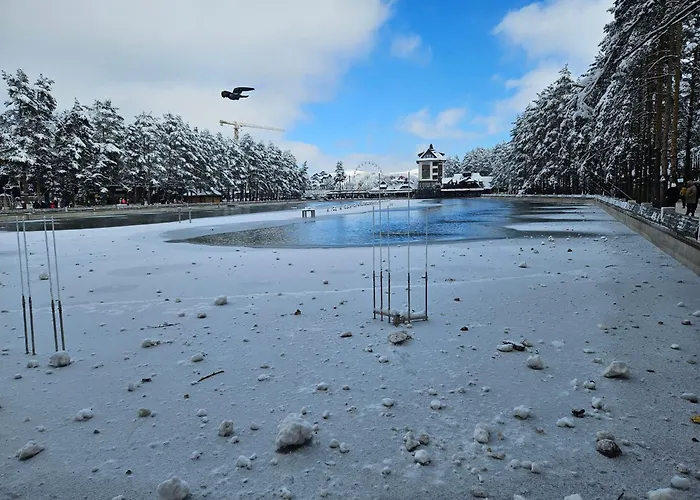 Djermanovic Lägenhet